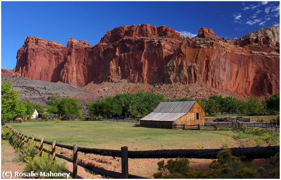 Missing Image: i_0026.jpg - Peaceful Farm