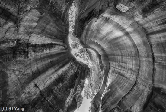 Missing Image: i_0048.jpg - Maligne Canyon