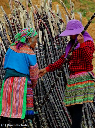 Missing Image: i_0021.jpg - Negotiating Bamboo  at Market