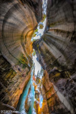 Missing Image: i_0034.jpg - Maligne Canyon