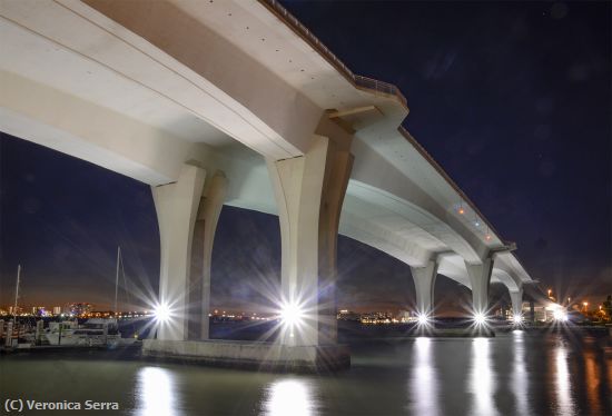 Missing Image: i_0043.jpg - Memorial Causeway