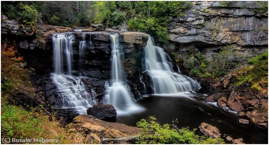 Missing Image: i_0013.jpg - Blackwater Falls