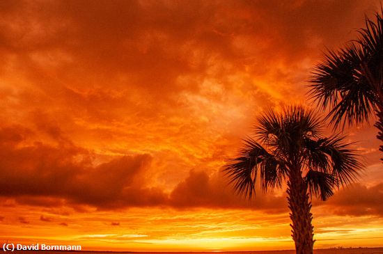 Missing Image: i_0029.jpg - Safety Harbor Sunrise