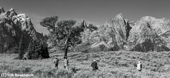 Missing Image: i_0054.jpg - Shooting-the-Patriarch-Tree-Tetons