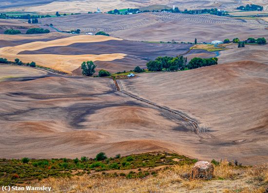 Missing Image: i_0008.jpg - The Palouse WA