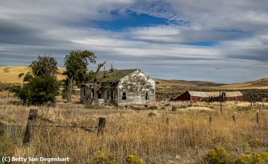 Missing Image: i_0031.jpg - Abandoned-Farm-Palouse-WA