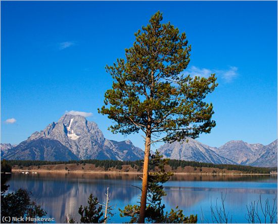 Missing Image: i_0035.jpg - Teton Reflection