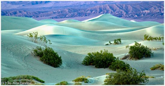 Missing Image: i_0048.jpg - Death Valley Dunes03