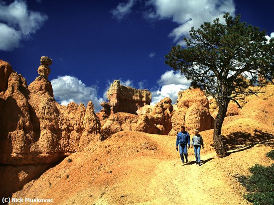 Missing Image: i_0050.jpg - Bryce Canyon Travelers