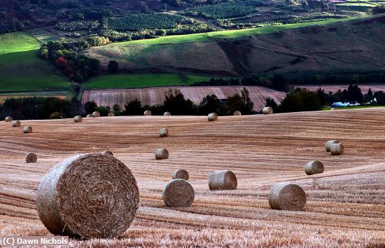 Missing Image: i_0026.jpg - Autumn In The   Highlands