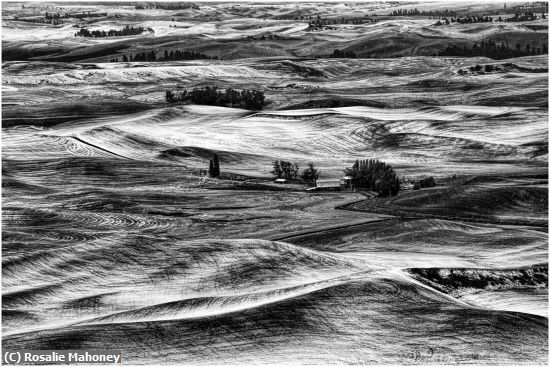 Missing Image: i_0057.jpg - Palouse with an Early Snow