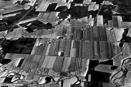 Missing Image: i_0064.jpg - Frozen Farms