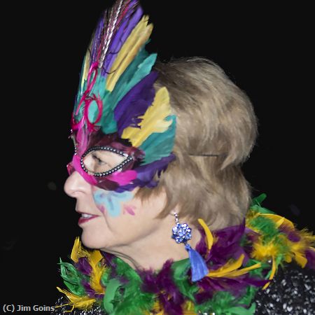 Missing Image: i_0013.jpg - Mardi Gras Face