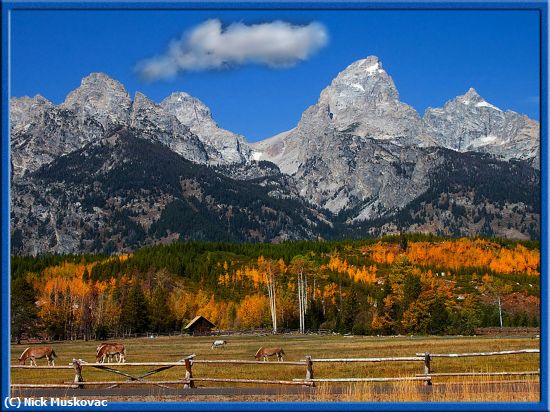 Missing Image: i_0012.jpg - Teton-Fall-Colors