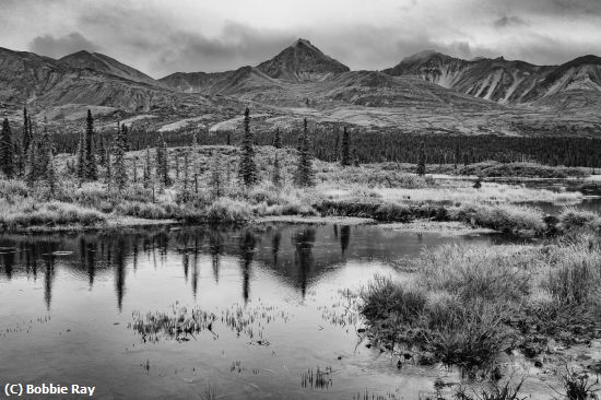 Missing Image: i_0060.jpg - Denali Reflections