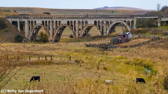 Missing Image: i_0050.jpg - Rosalia-Bridge-WA State