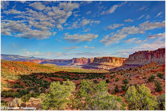 Missing Image: i_0012.jpg - Beautiful Light in Capitol Reef