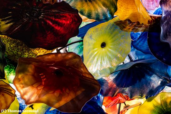 Missing Image: i_0017.jpg - Chihuly Ceiling