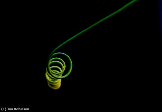 Missing Image: i_0056.jpg - Tendril