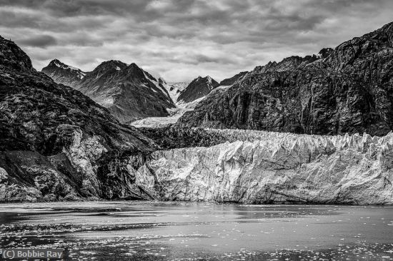 Missing Image: i_0077.jpg - Frozen in Glacier Bay