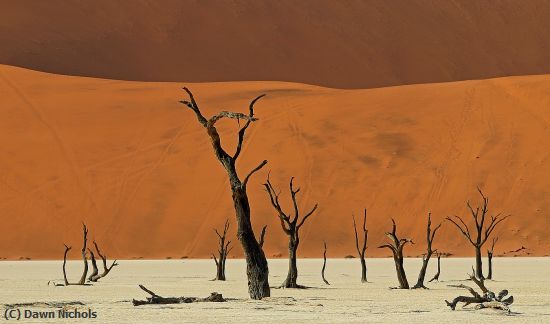 Missing Image: i_0002.jpg - Sossusvlei