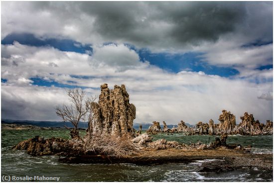 Missing Image: i_0016.jpg - The Beauty of Mono Lake