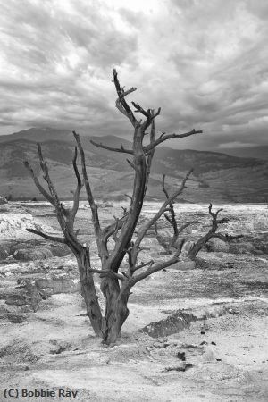 Missing Image: i_0052.jpg - Barren Land