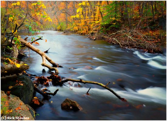 Missing Image: i_0017.jpg - The Paulinskill  Marksboro, NJ