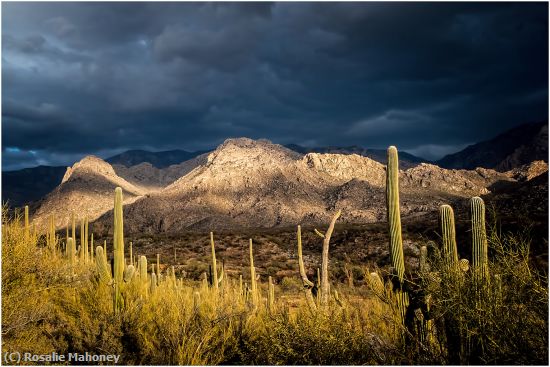 Missing Image: i_0027.jpg - Dark Clouds in the Desert