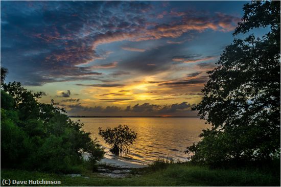 Missing Image: i_0035.jpg - Old Tampa Bay before Sunrise