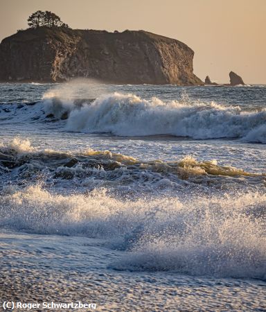 Missing Image: i_0037.jpg - Rialto Beach