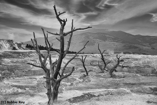 Missing Image: i_0052.jpg - wasteland in Mammoth