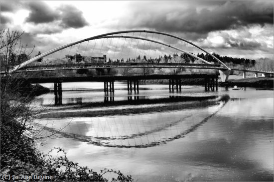 Missing Image: i_0061.jpg - Foot Bridge