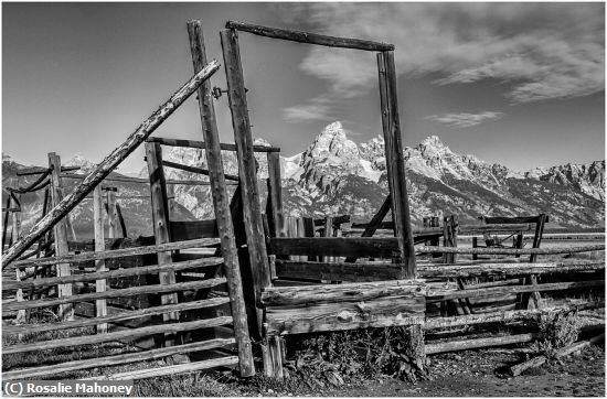 Missing Image: i_0063.jpg - Abandoned Farm