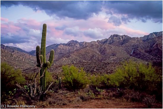 Missing Image: i_0008.jpg - Beautiful Light in the Desert