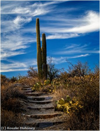 Missing Image: i_0009.jpg - Along the Stairway