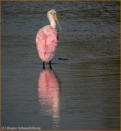 Missing Image: i_0010.jpg - Colorful Thinker