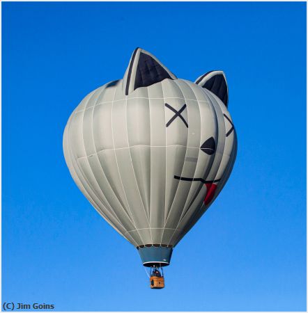 Missing Image: i_0016.jpg - Kitty-Flight