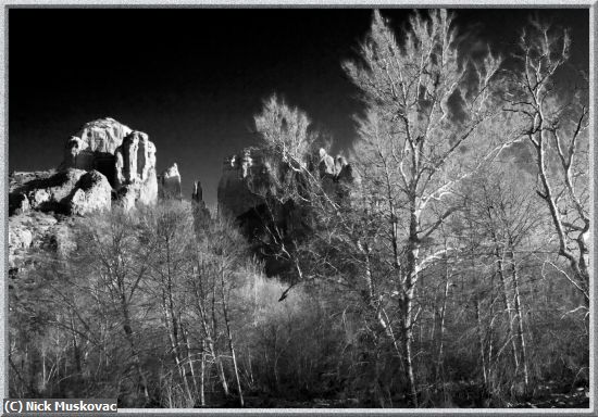 Missing Image: i_0055.jpg - Infra-red-Cathedral-Rock