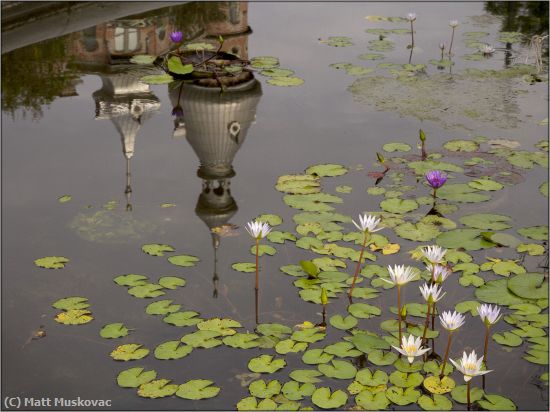 Missing Image: i_0035.jpg - Minaret Reflection