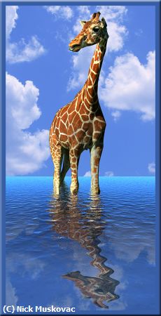 Missing Image: i_0038.jpg - Giraffe-Standing-Tall
