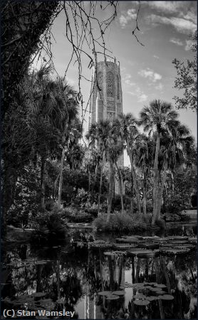 Missing Image: i_0060.jpg - Bok Tower Lilies