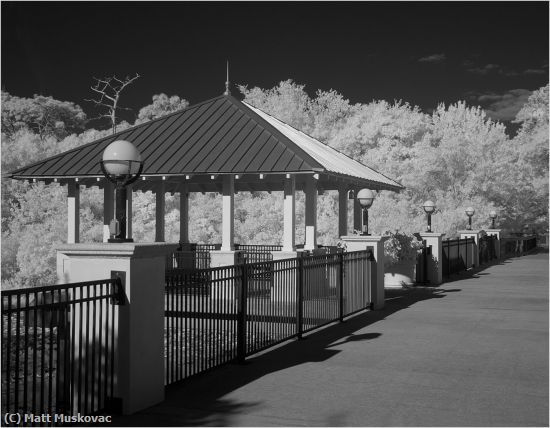 Missing Image: i_0070.jpg - Botanical Gardens Bridge