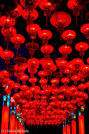 Missing Image: i_0045.jpg - Lanterns