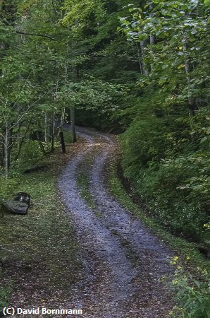 Missing Image: i_0028.jpg - Smoky Mountain Road