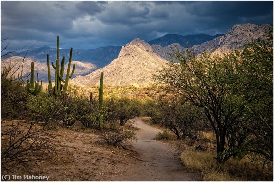 Missing Image: i_0041.jpg - Catalina State Park Path