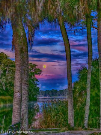 Missing Image: i_0016.jpg - Moonrise-at-Chestnut-Ridge-Park