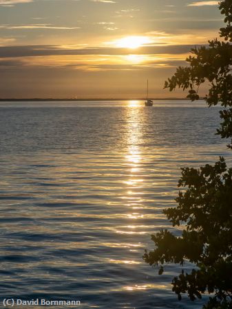 Missing Image: i_0029.jpg - Sailboat in Sunrise