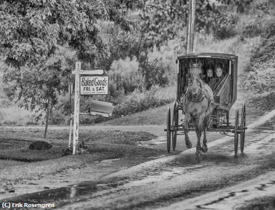 Missing Image: i_0066.jpg - Rainy-day-in-Amich-Country