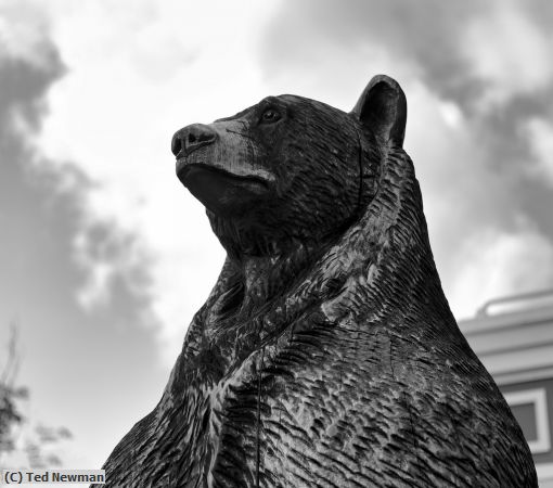 Missing Image: i_0078.jpg - Stratton bear